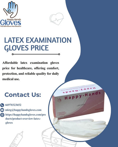 Best Latex Examination Gloves Price for Professional Safety Use..jpg