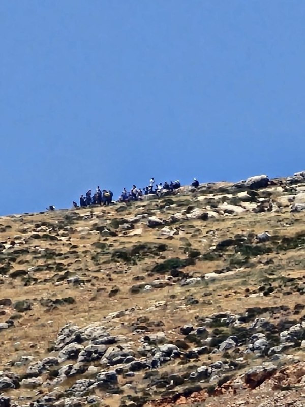 صورة الخبر