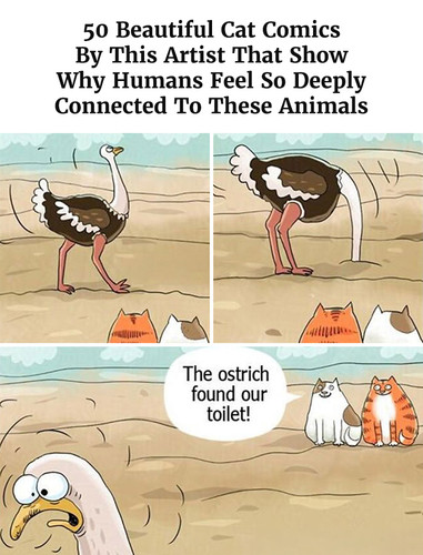 heartwarming funny cat comics herta burbe.jpg