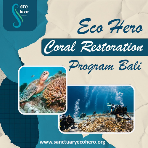 Eco Hero Coral Restoration Program Bali.jpg