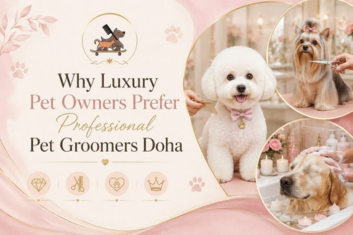 Fluffy Tails – Trusted Mobile Dog & Cat Grooming in Qatar.jpg