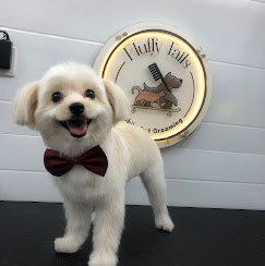 Professional Mobile Pet Grooming Qatar | Fluffy Tails.jpg