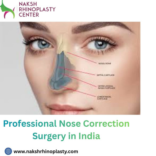 Professional Nose Correction Surgery in India.jpg