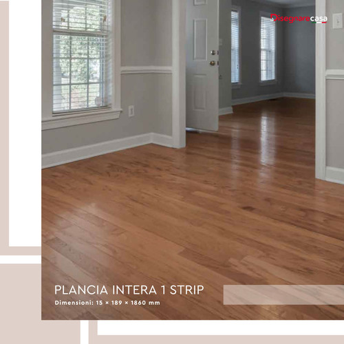PLANCIA INTERA 1 STRIP - Disegnarecasa.jpg