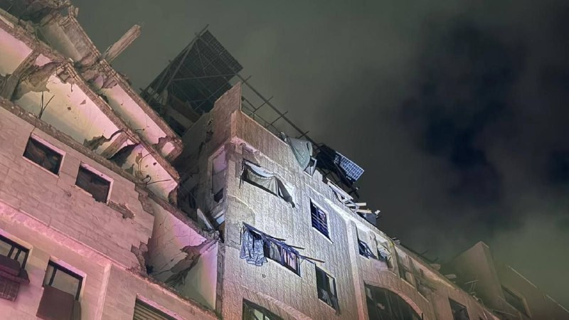 صورة الخبر