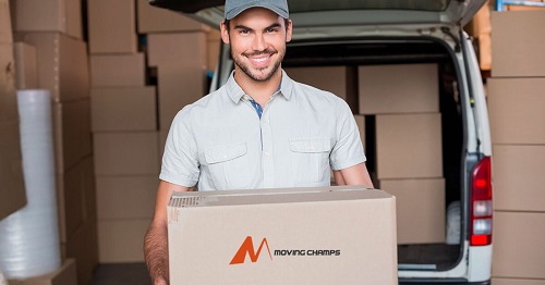 man and van.jpg