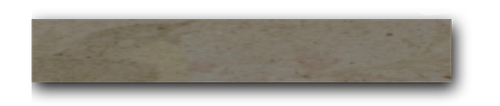 1000041537.png