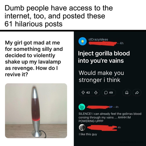 dumb hilarious reddit posts.jpg