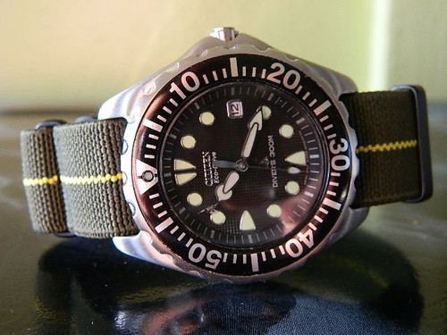 DSCN8077.jpg
