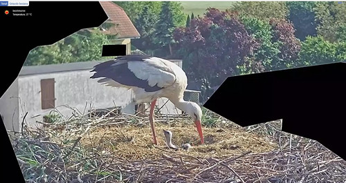 MWSnap955.jpg
