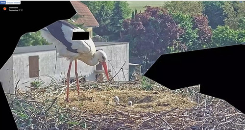 MWSnap954.jpg