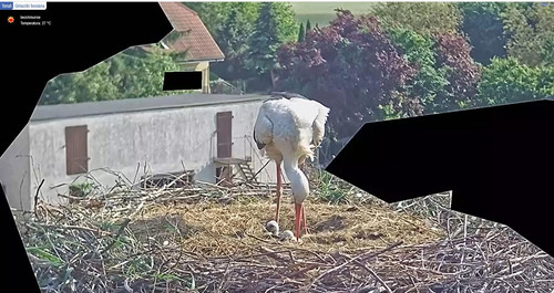 MWSnap953.jpg