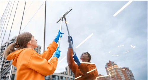 Window Cleaners Auckland.png
