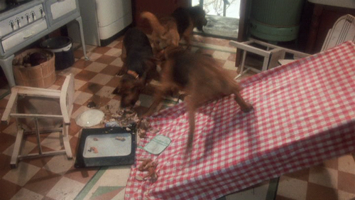 vlcsnap 2026 03 30 17h01m13s296.png