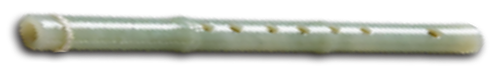 1000041688.png
