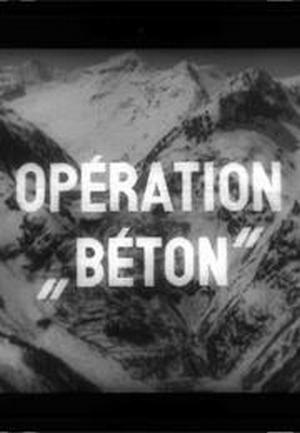 02 operation beton 878826796 large.jpg