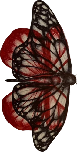 1000135343.png