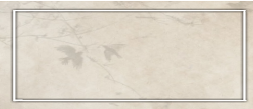 1000041721.png
