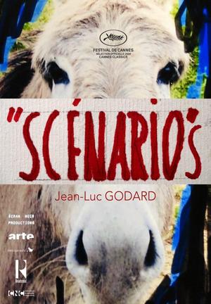 55 scenarios 535126280 large.jpg
