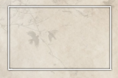1000041719.png