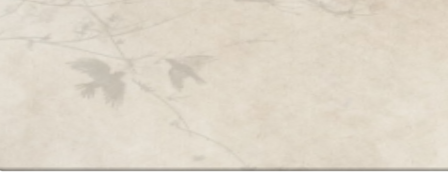 1000041745.png