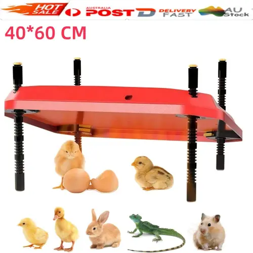 s l1600.webp