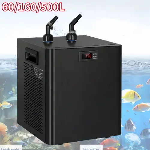 s l1600.webp