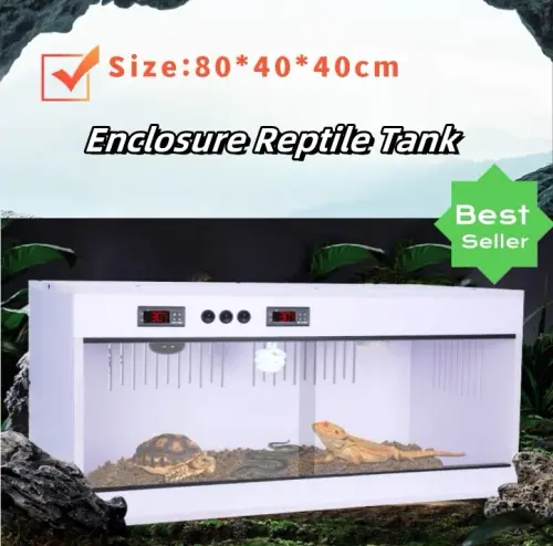 s l1600.webp