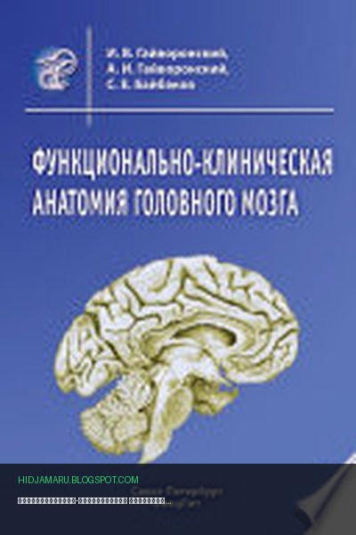 Обложка книги «Функционально-клиническая анатомия головного мозга» - Алексей Гайворонский, Сергей Байбаков, Иван Гайворонский