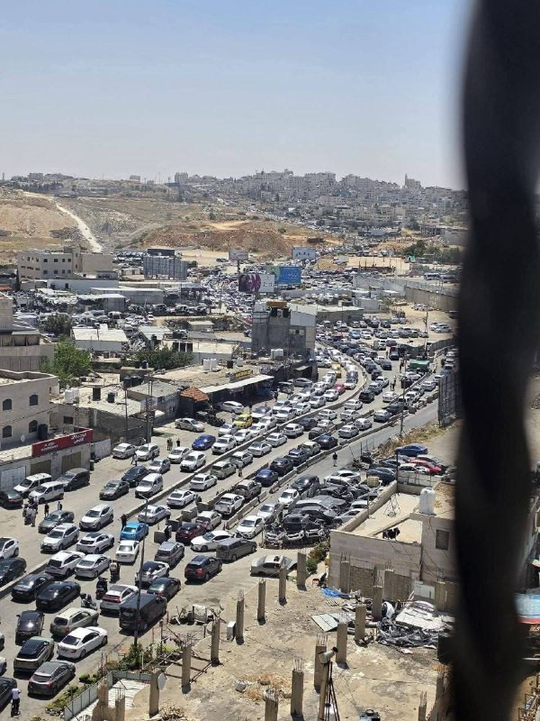 صورة الخبر