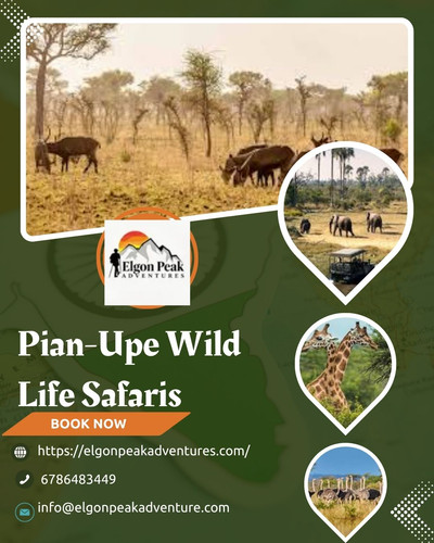 Pian Upe Wild Life Safaris.jpg