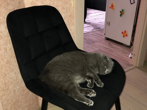 черный (4).png