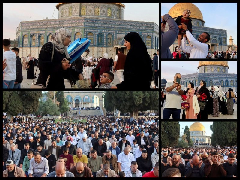 صورة الخبر