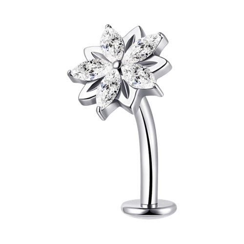 image1 (53).png