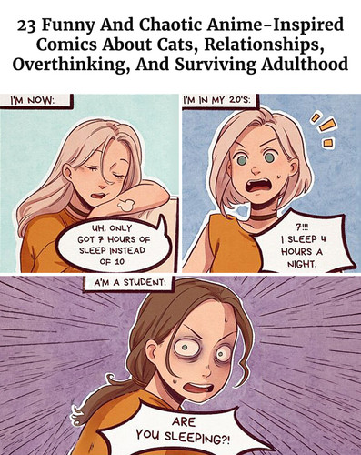 anime inspired cats relationships comics salamandra san.jpg