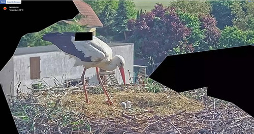 MWSnap067.jpg