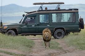 Luxury Kenya Wildlife Safari Tours.jpg