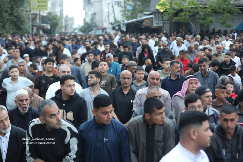 صورة الخبر