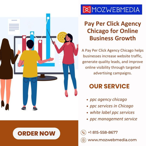 Pay Per Click Agency Chicago for Online Business Growth.jpg
