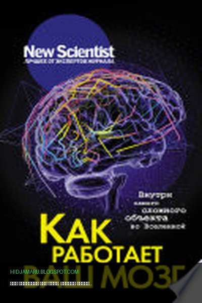 Обложка книги «Как работает ваш мозг. Внутри самого сложного объекта во Вселенной» - Сборник