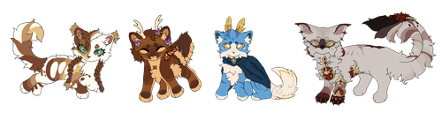 IMG 2222.png