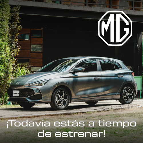 MG 3.png