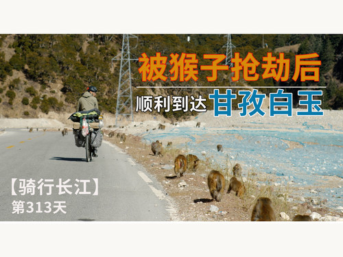 66 EP57【骑行长江】在川西被猴子抢劫后，顺利到达甘孜白玉县，逛白玉寺和小山城 4K 超高清 AVC.jpg