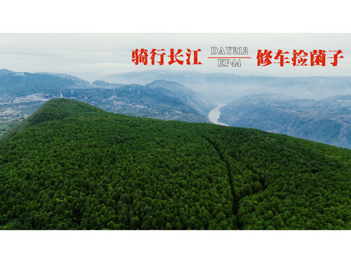 51 EP44【骑行长江】上期漏的几天，简单平常的一期，一首音乐，35公里上坡路，修个车，意外去捡了回野生菌 4K 超高清 AVC.jpg