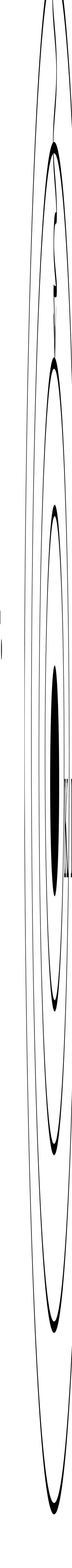e5e7569a8218.jpg