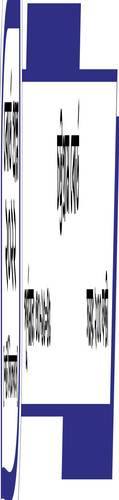 69942501a036.jpg