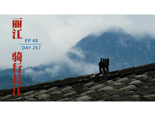 55 EP48【骑行长江】没有最难走的路，只有最可爱的人,推车徒步到丽江。 4K 超高清 AVC.jpg