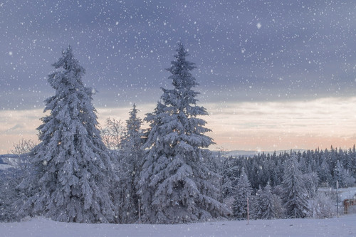 couleur winter landscape 4532412 1920.jpg