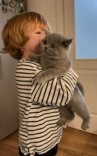 all a child need is a cute kitty #getacat.jpg