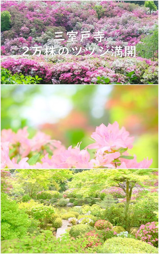 2dfc4eb60119da5777f7f99c3bcbbfae.jpg